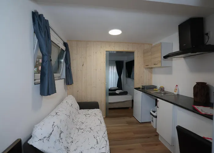 Novohome *